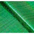 Плёнка упаковочная голография, зелёный, 70 х 100 см, рисунок МИКС