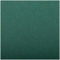 Бумага для пастели, 25л., 500*650мм Clairefontaine "Ingres", 130г/м2, верже, хлопок, темно-зеленый, 93498C