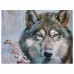 Картина стразами (алмазная мозаика) 30х40 см, ОСТРОВ СОКРОВИЩ "Волк", без подрамника, 662565