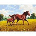 Картина по номерам 40*50 см, ОСТРОВ СОКРОВИЩ "Лошади на лугу", на подрамнике, акрил, кисти, 662464