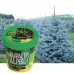 Набор для выращивания растений ВЫРАСТИ ДЕРЕВО! "Ель канадская голубая" (банка, грунт, семена), zk-048