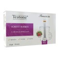 Чай в стиках TEATONE, со вкусом лесных ягод, 100 стиков по 2г, ш/к 81163, 1257