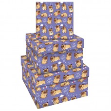 Набор квадратных коробок 3в1, MESHU "Pugs", (19,5*19,5*11-15,5*15,5*9см)