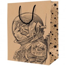 Пакет подарочный 18*23*10см ArtSpace "Space Cat", крафт
