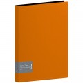 Папка со 100 вкладышами Berlingo "Color Zone", 30мм, 1000мкм, оранжевая