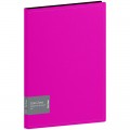 Папка с 40 вкладышами Berlingo "Color Zone", 21мм, 1000мкм, розовая