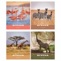 Тетрадь 96л., А5, клетка ArtSpace "Животные. Nature of Africa", эконом, Т96кЭ_36448, БЕЛИЗНА 92%