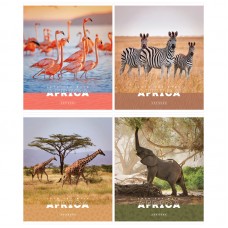 Тетрадь 96л., А5, клетка ArtSpace "Животные. Nature of Africa", эконом, Т96кЭ_36448, БЕЛИЗНА 92%
