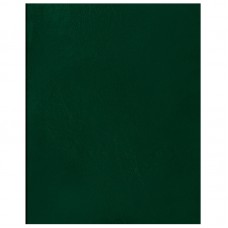 Тетрадь 48л., А5 клетка BG, бумвинил, зеленый, суперэконом