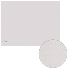 Бумага для пастели CANSON Mi-Teintes(Митант), А2+(500*650мм), 160г/м, 2-сторон, белый(335)